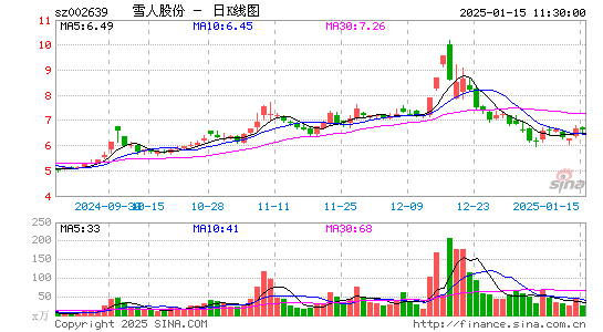 雪人股份