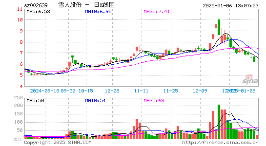 雪人股份