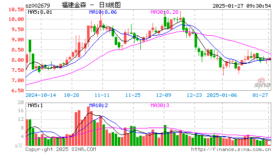 福建金森