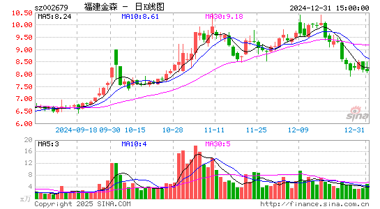 福建金森