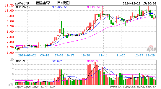 福建金森