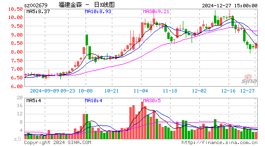 福建金森