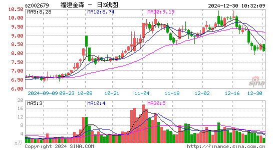 福建金森