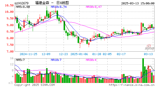 福建金森