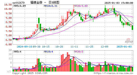 福建金森