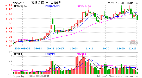 福建金森