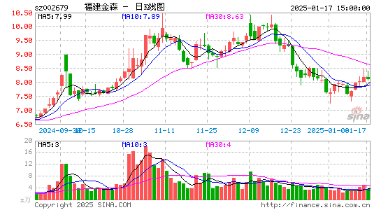 福建金森