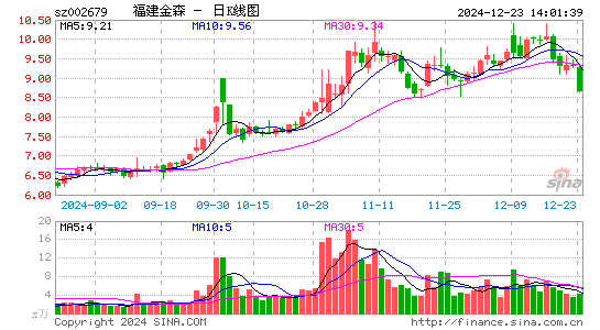 福建金森