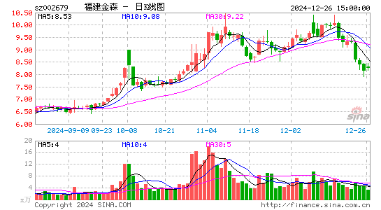 福建金森