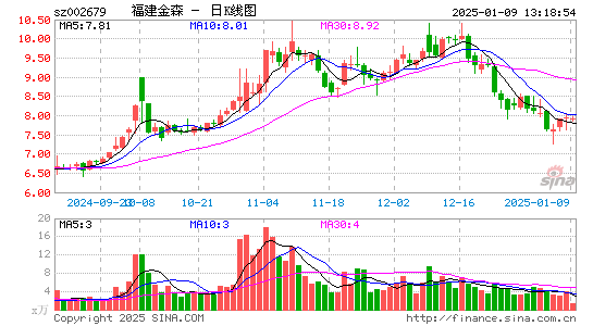 福建金森