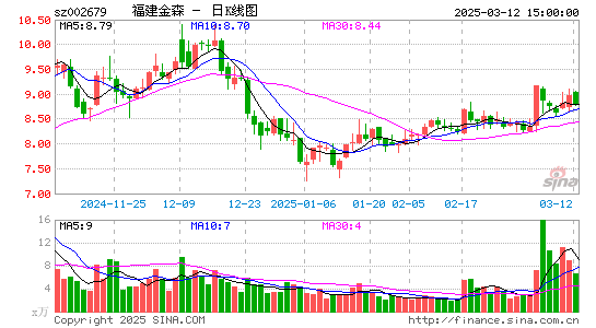 福建金森