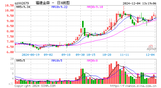 福建金森