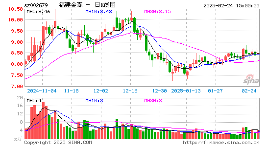 福建金森