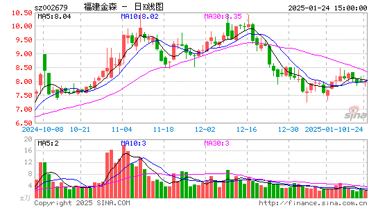 福建金森