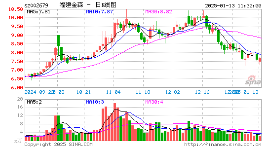 福建金森