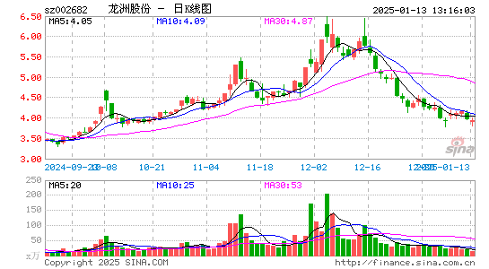 龙洲股份