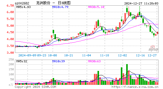 龙洲股份