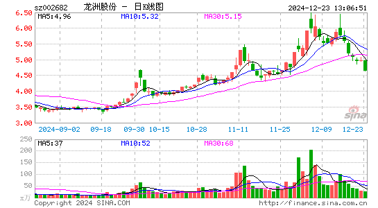 龙洲股份