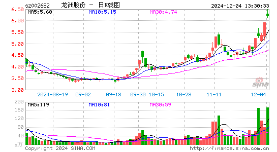 龙洲股份