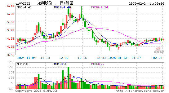 龙洲股份