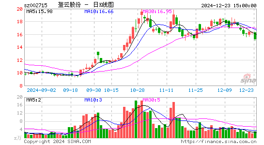 登云股份