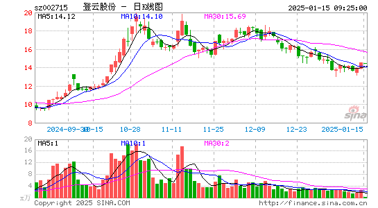 登云股份