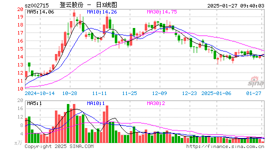 登云股份