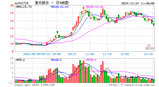 登云股份