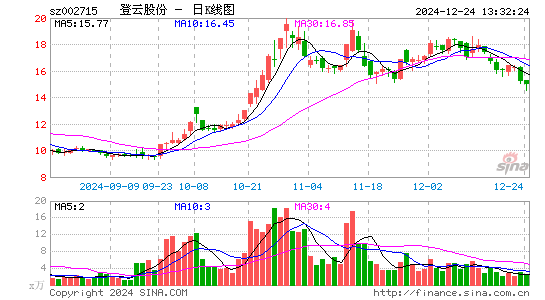 登云股份