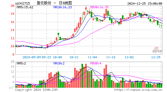 登云股份