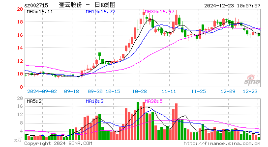 登云股份