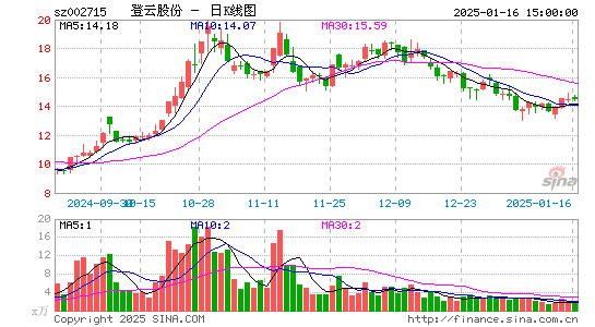 登云股份