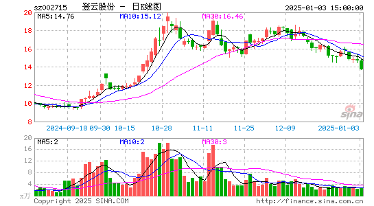 登云股份