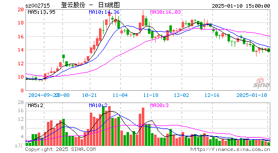 登云股份