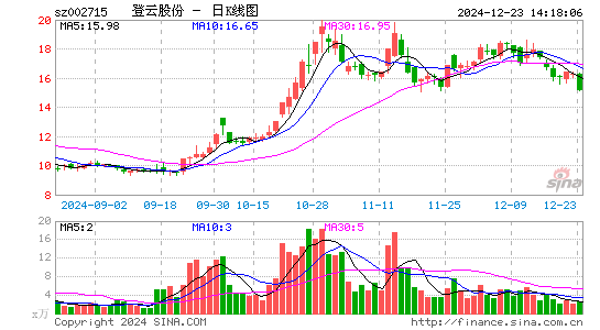 登云股份