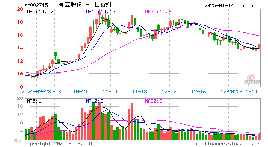 登云股份