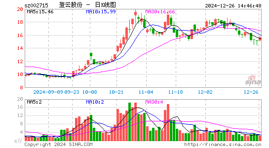 登云股份