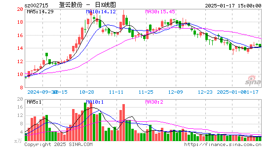 登云股份