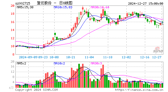 登云股份