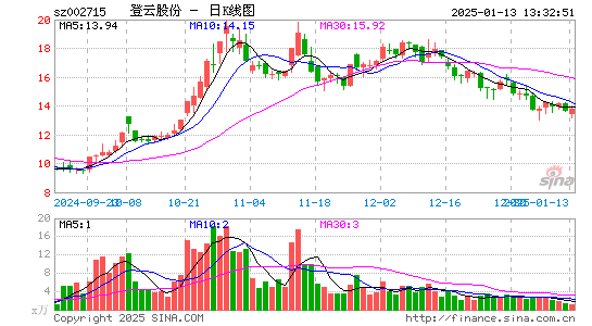 登云股份