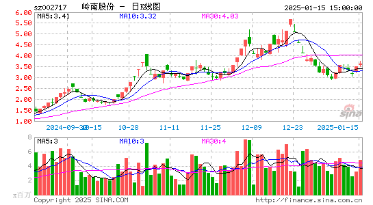 岭南股份