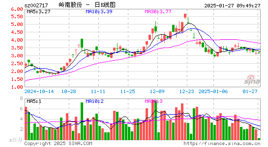 岭南股份