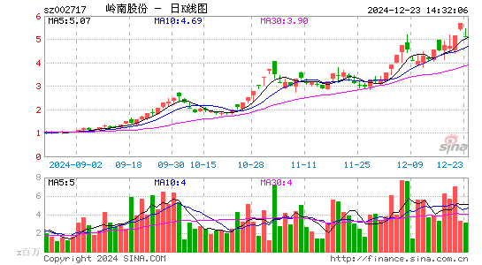 岭南股份