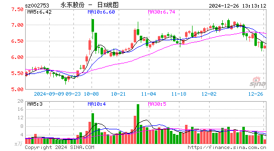 永东股份