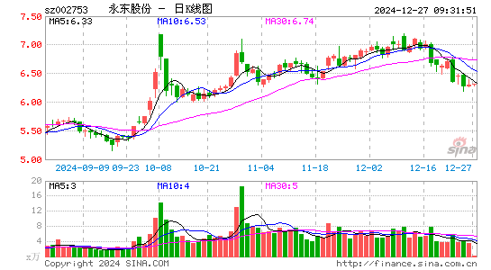 永东股份