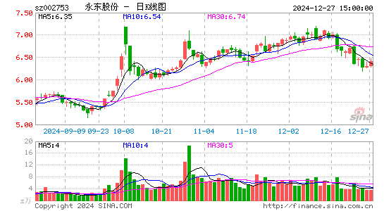 永东股份