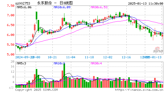 永东股份