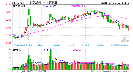 永东股份