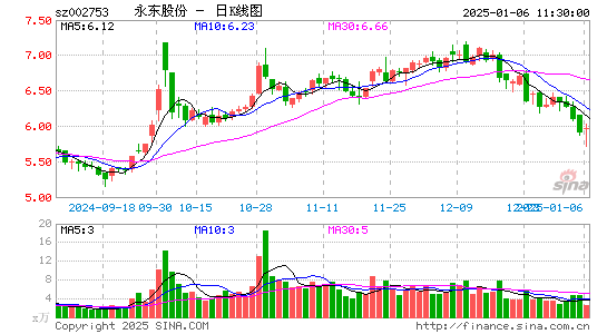 永东股份