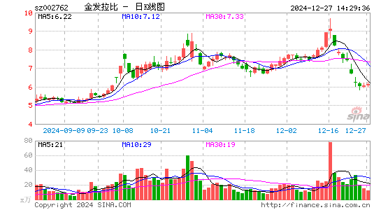 金发拉比